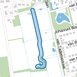 Wilgenlaantje