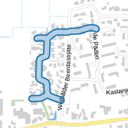 D Wiersmastrjitte