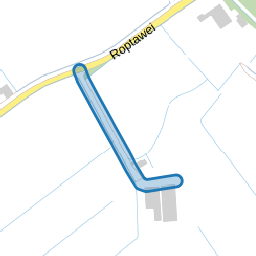 Dwarsreed