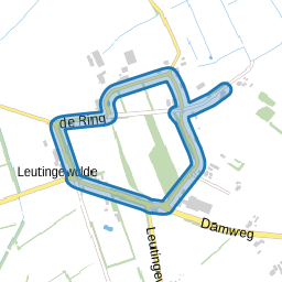 de Ring
