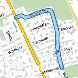 Dennenlaan