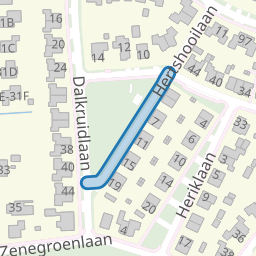 Sleutelbloem