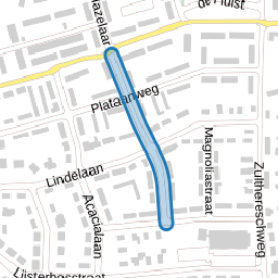 Goudenregenstraat