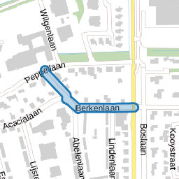 Berkenlaan
