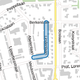 Lindenlaan