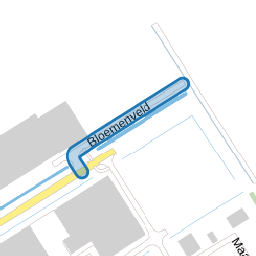 Bloemenveld
