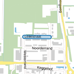 Leliestraat