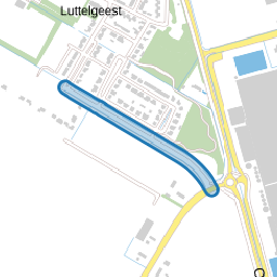 Ridderspoor