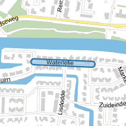Waterlelie
