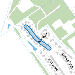 Koningsschut