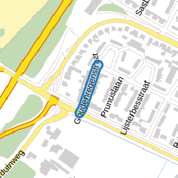Goudenregenstraat