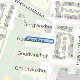 Geelvinkhof