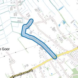 Rijnvis