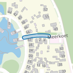 Meerkoet