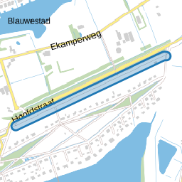 Vliegenzwam