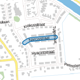 Narcisstraat