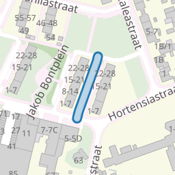 Narcisstraat