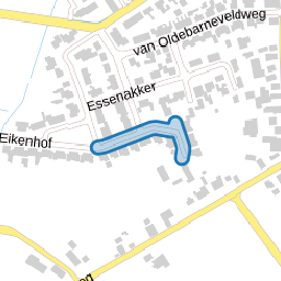 Wijnbergenerve