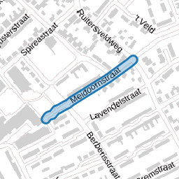 Meidoornstraat