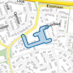 Engelwortel