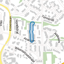 Zenegroen