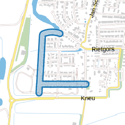 Ringmus
