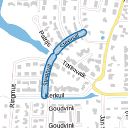 Steenuil