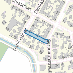 Tulpstraat