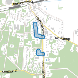 Falkenburgerf