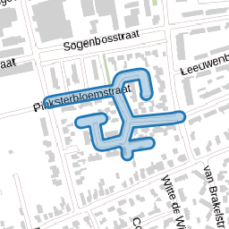 Pinksterbloemstraat