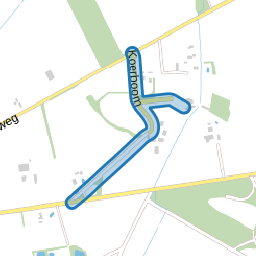 Koerboom
