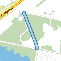 Dennendijk