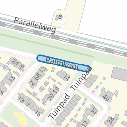 Palmkool