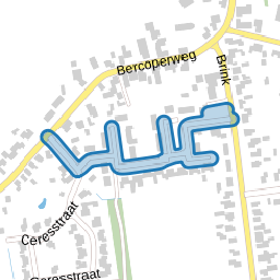van Brederodestraat