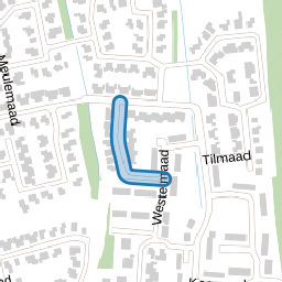 Winkelmaad