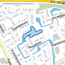Dotterbloem