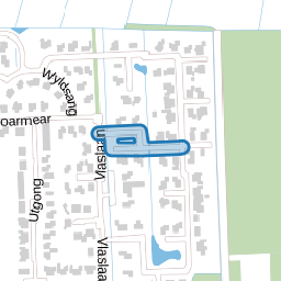 Driuwerspaad