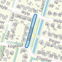 Wachtel