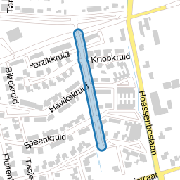 Barbarakruid