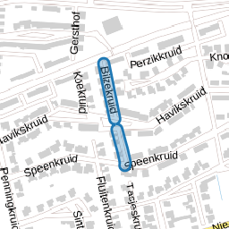 Bilzekruid