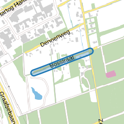 Bosstraat