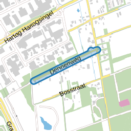 Dennenweg