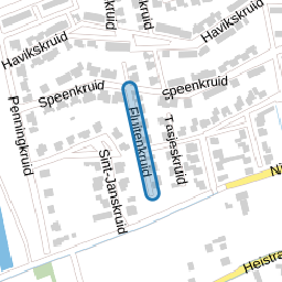 Fluitenkruid