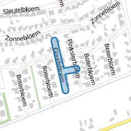 Goudsbloem