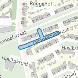 Jakobskruiskruid