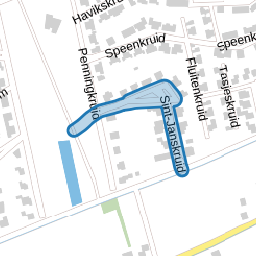 Sint-Janskruid
