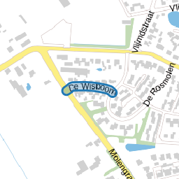 De Wisboom