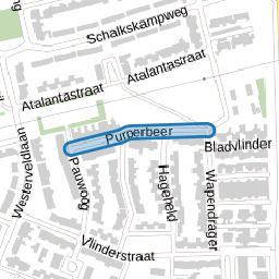 Purperbeer