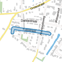 Tulpstraat