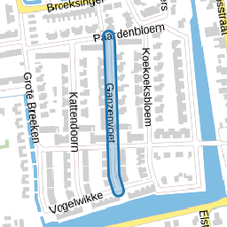 Ganzenvoet